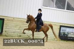 22BUCK_00074 proof