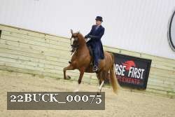 22BUCK_00075 proof