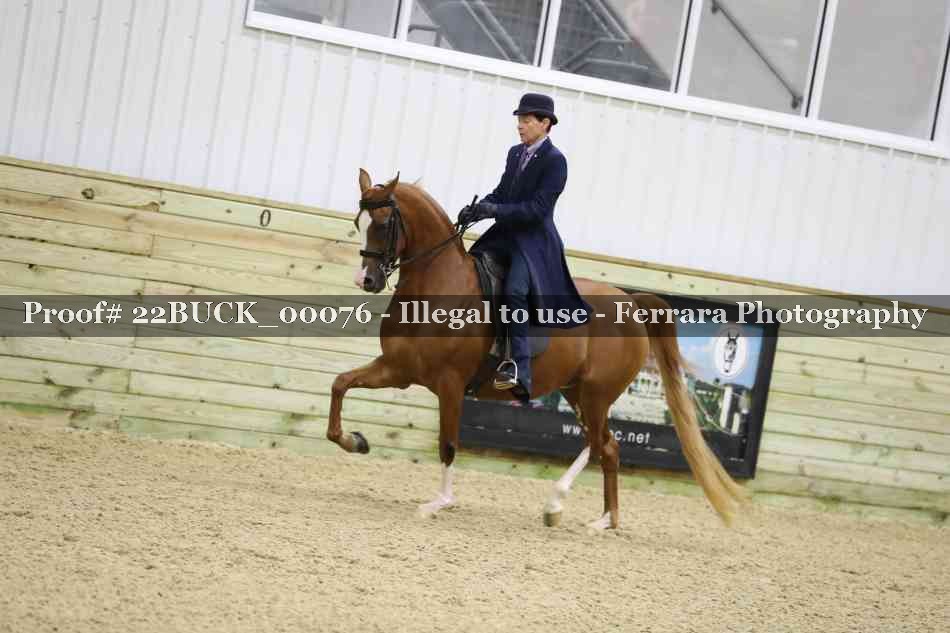 Proof 22BUCK_00076