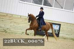 22BUCK_00076 proof