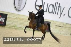 22BUCK_00077 proof