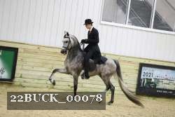 22BUCK_00078 proof