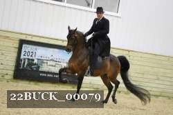 22BUCK_00079 proof
