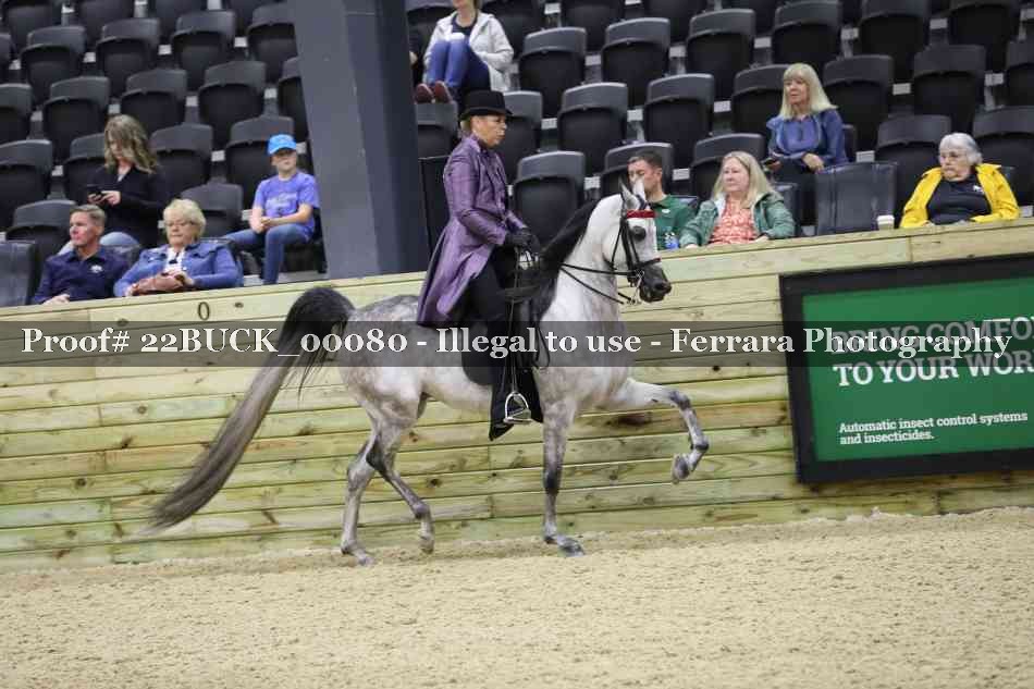 Proof 22BUCK_00080