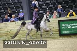 22BUCK_00080 proof