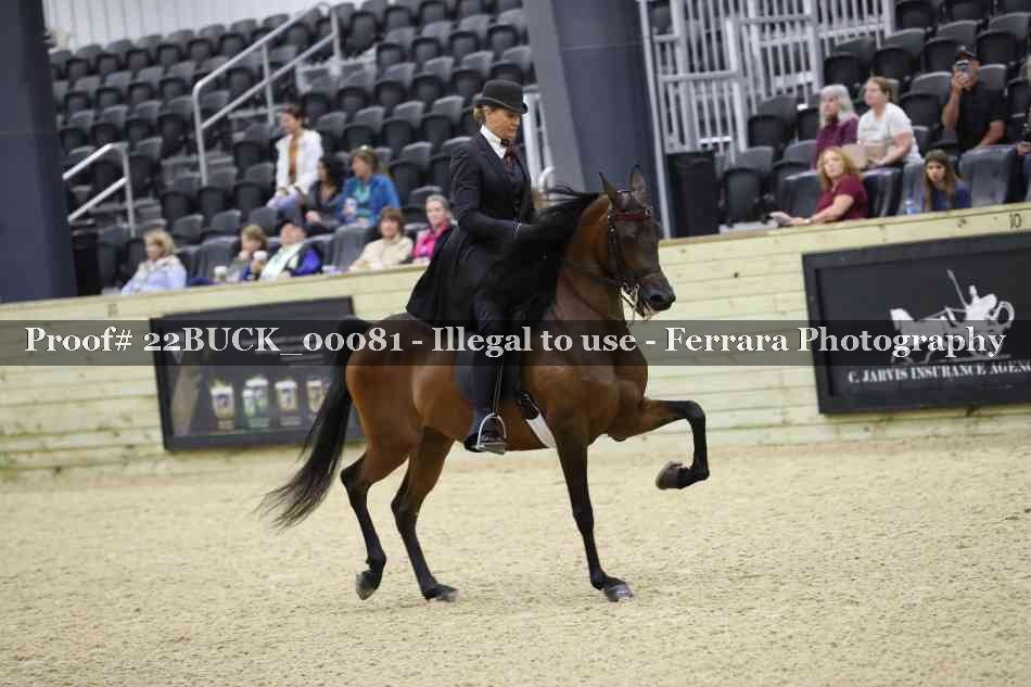 Proof 22BUCK_00081