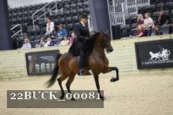 22BUCK_00081 proof