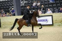 22BUCK_00082 proof