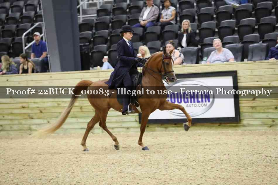 Proof 22BUCK_00083