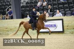 22BUCK_00083 proof