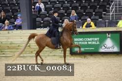 22BUCK_00084 proof
