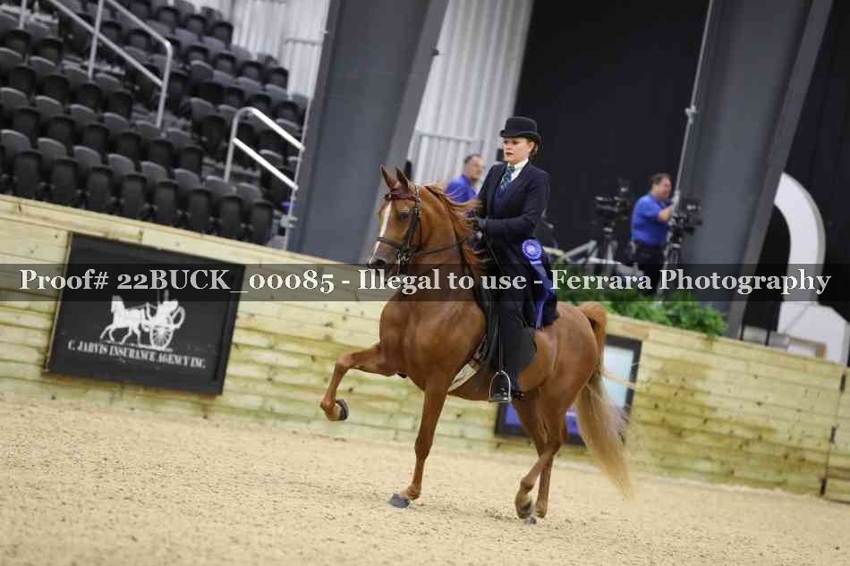 Proof 22BUCK_00085