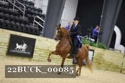 22BUCK_00085 proof