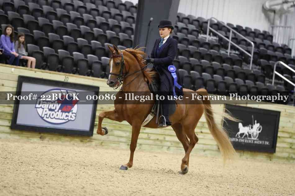 Proof 22BUCK_00086