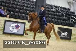 22BUCK_00086 proof