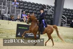 22BUCK_00087 proof