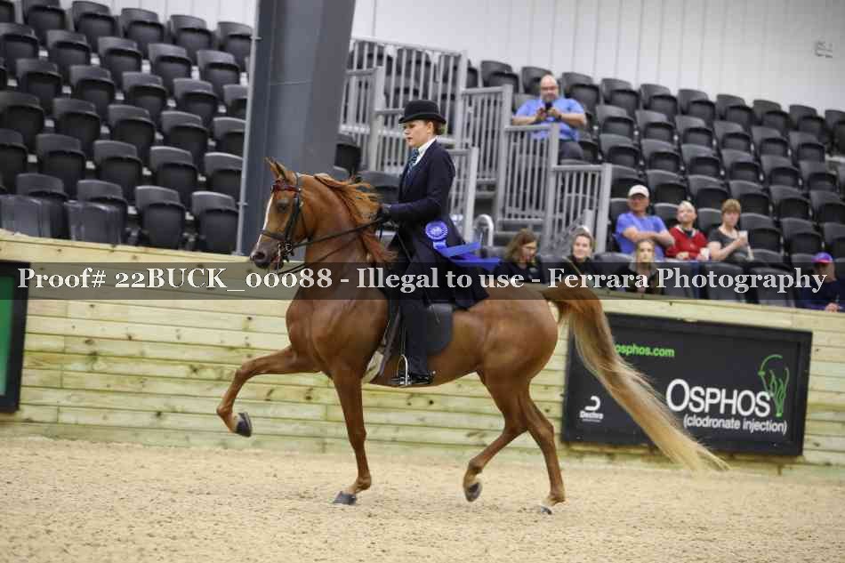 Proof 22BUCK_00088