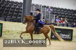 22BUCK_00088 proof