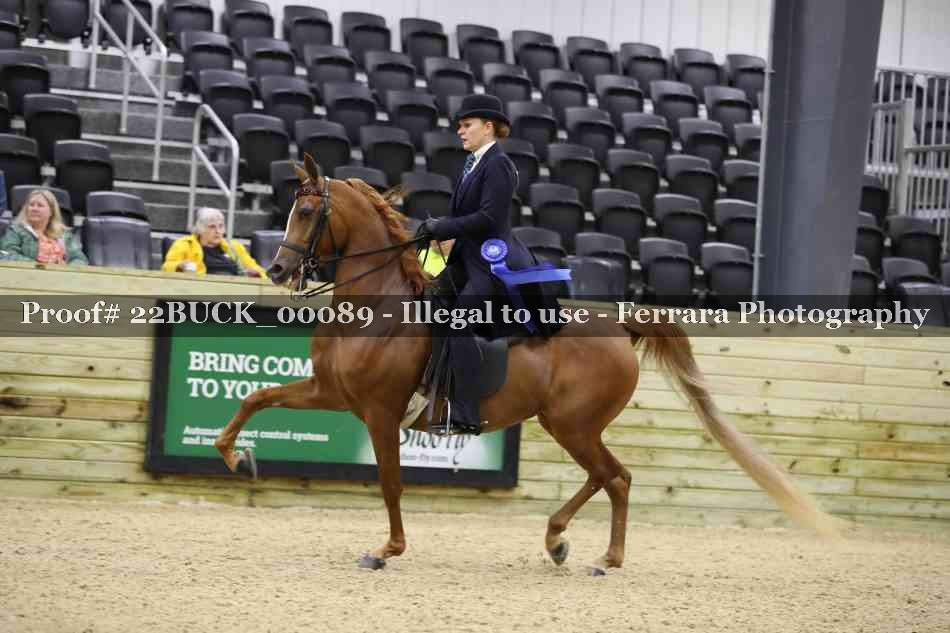 Proof 22BUCK_00089