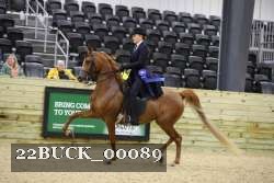 22BUCK_00089 proof