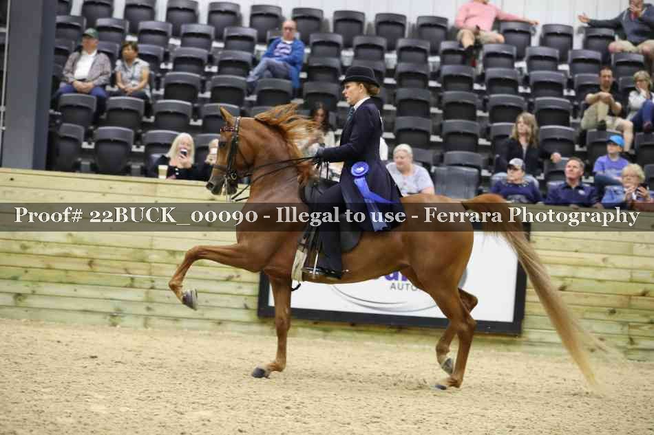 Proof 22BUCK_00090