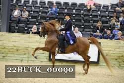22BUCK_00090 proof