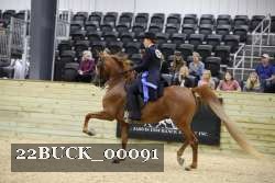22BUCK_00091 proof