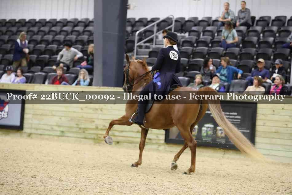 Proof 22BUCK_00092