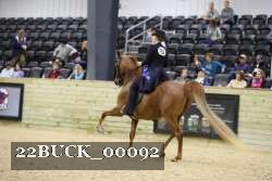 22BUCK_00092 proof