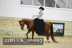 22BUCK_00095 proof