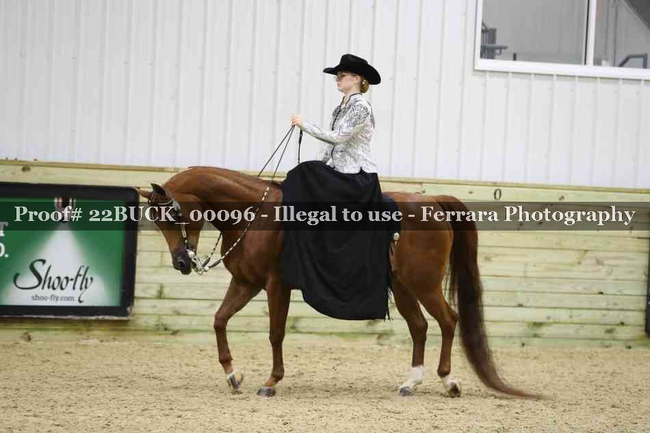 Proof 22BUCK_00096