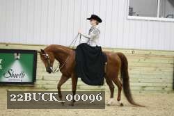 22BUCK_00096 proof