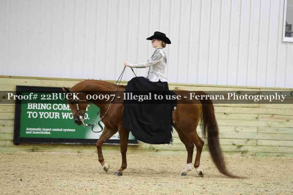 Proof 22BUCK_00097