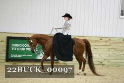 22BUCK_00097 proof