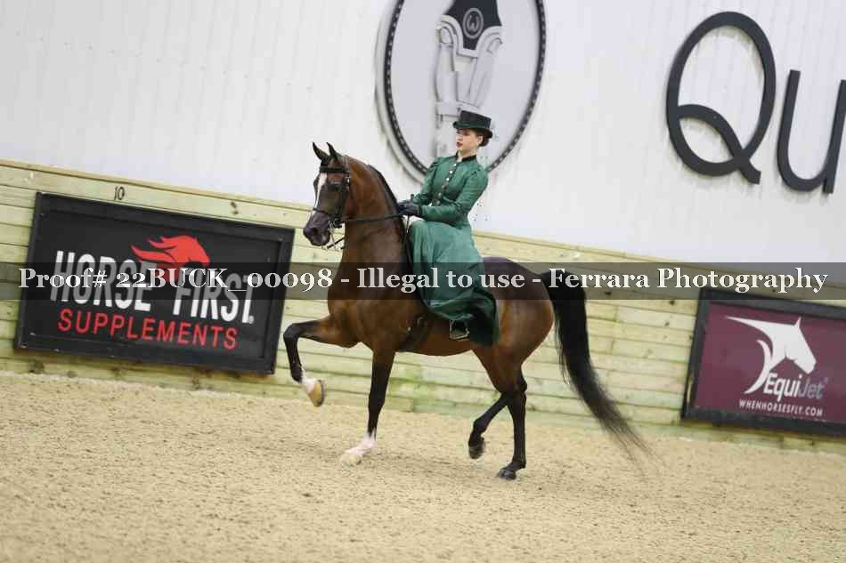 Proof 22BUCK_00098