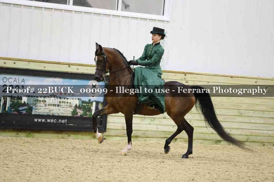 Proof 22BUCK_00099