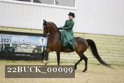 22BUCK_00099 proof