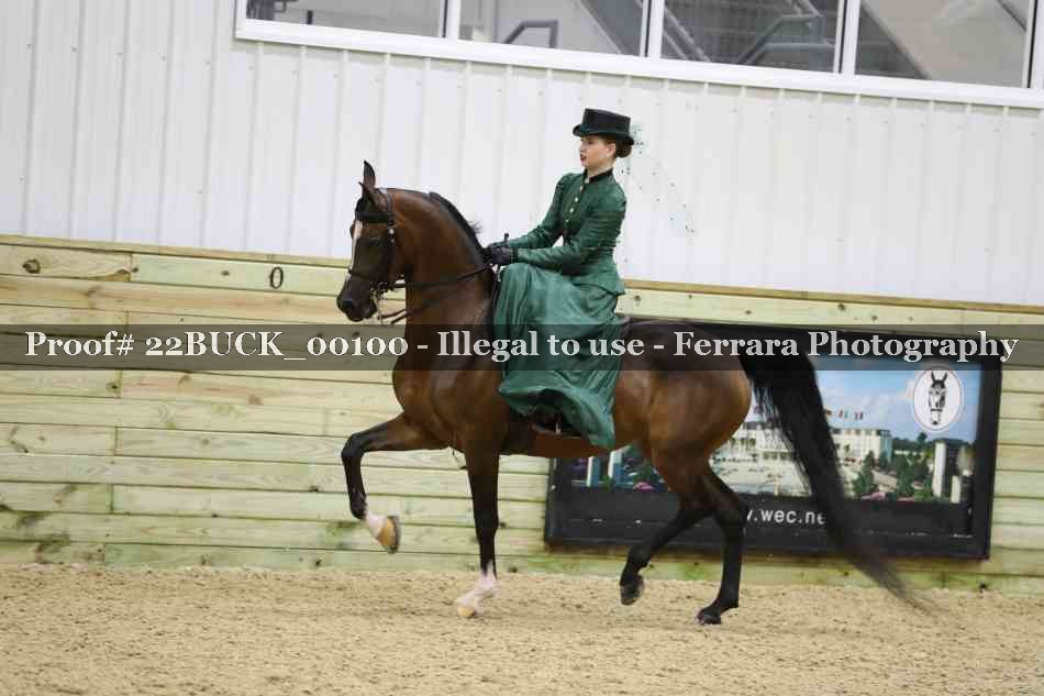 Proof 22BUCK_00100