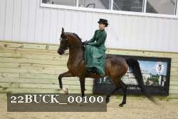 22BUCK_00100 proof