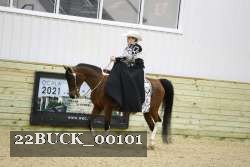 22BUCK_00101 proof