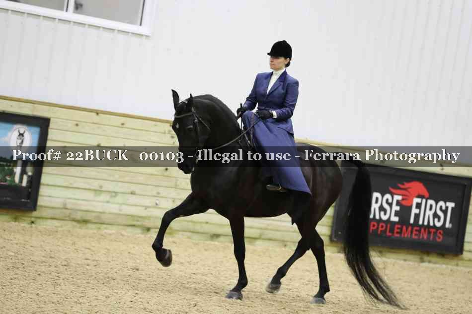 Proof 22BUCK_00103