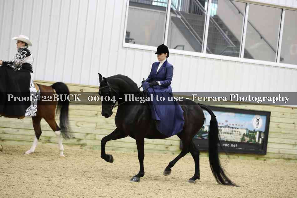 Proof 22BUCK_00104
