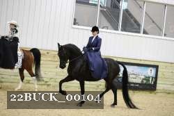 22BUCK_00104 proof