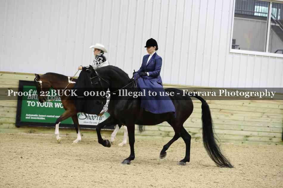 Proof 22BUCK_00105