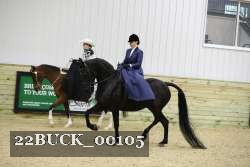 22BUCK_00105 proof