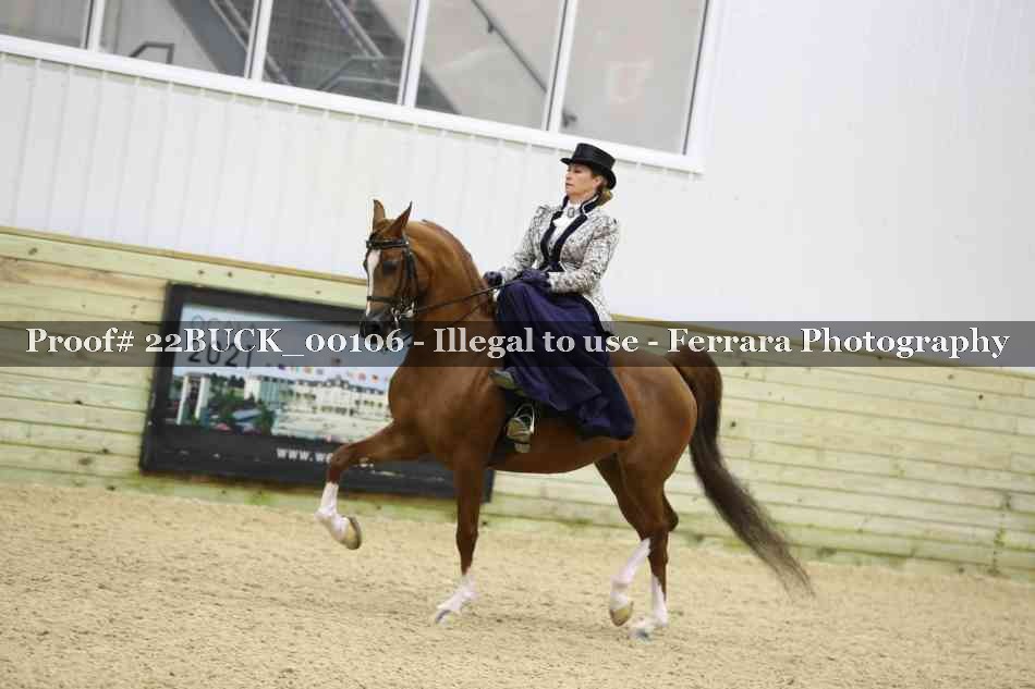 Proof 22BUCK_00106
