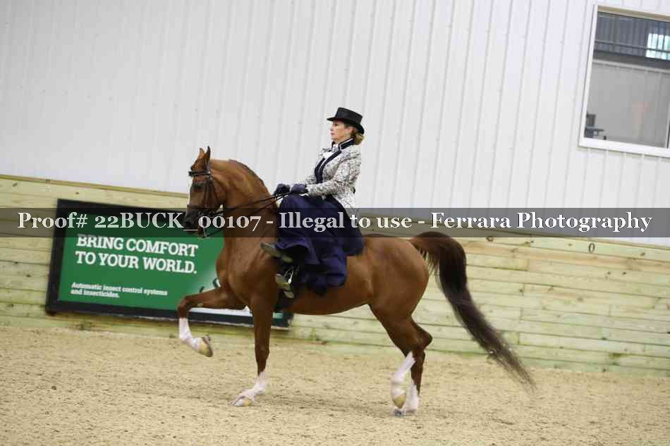 Proof 22BUCK_00107