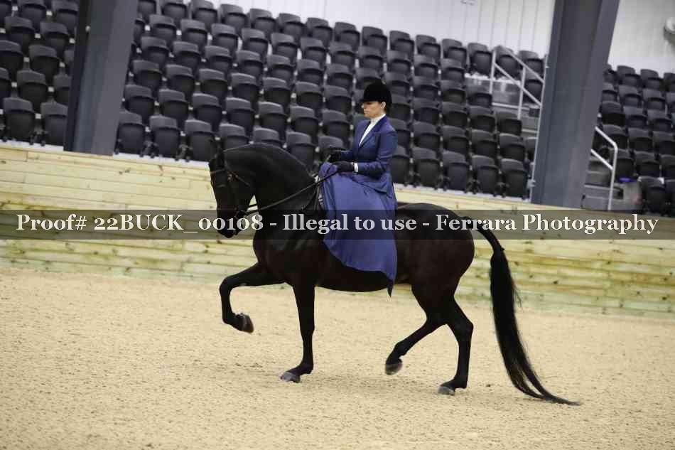 Proof 22BUCK_00108