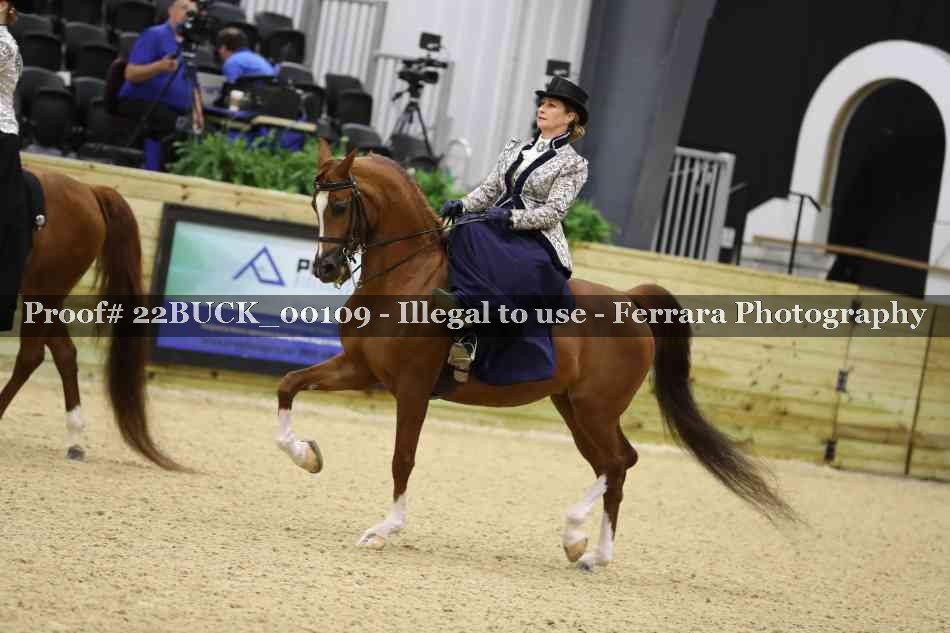 Proof 22BUCK_00109