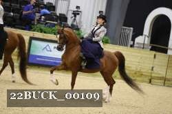 22BUCK_00109 proof